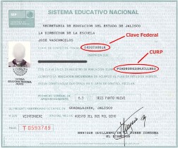 CETI - Aspirantes - Registro en línea al examen de 